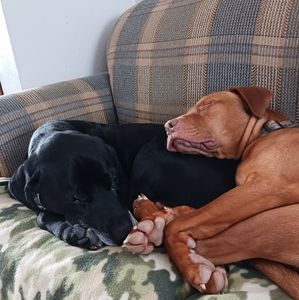 Meet your Posher, Heidi